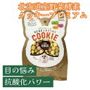 【複数購入で送料無料】北海道 野菜酵素クッキー 「プレミアム」(植物発酵酵素+たもぎ茸配合) 無添加 【犬用】