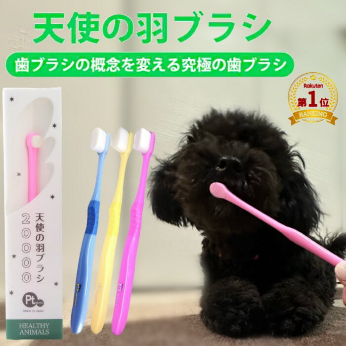 【ポスト投函】-猫口ケア ピック & ピック 猫用 ペット用品 お手入れ 歯 デンタルケア