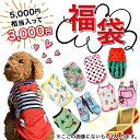 福袋 ドッグウェア 冬服 夏服 混合 犬 セール犬服 タンクトップ ワンピース ペット服 安い プチプラ 犬用 抜け毛防止 夏 猫 超小型犬 小型犬 かわいい ...