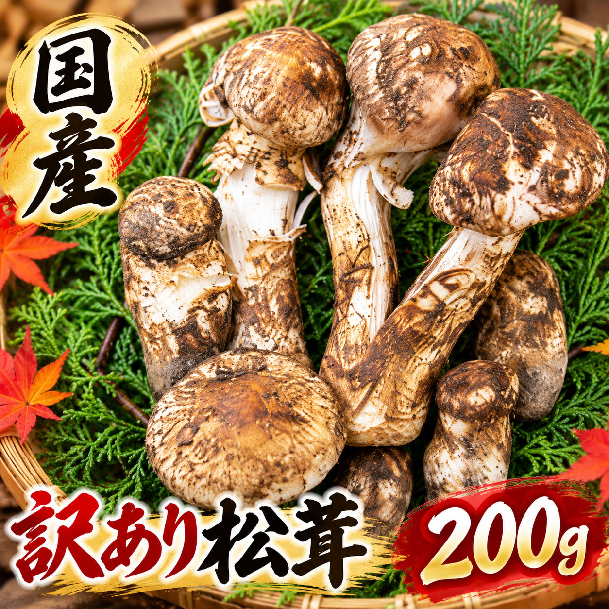 松茸 国産 訳あり まつたけ 200g 山梨県産 マツタケ 日本国産 新鮮 朝採り 純国産松茸 200グラム