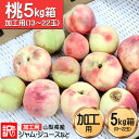 桃 訳あり 送料無料 5kg箱 加工用 山梨県産 ジャム ジュース用 ご家庭用桃 わけあり モモ ワケアリ桃