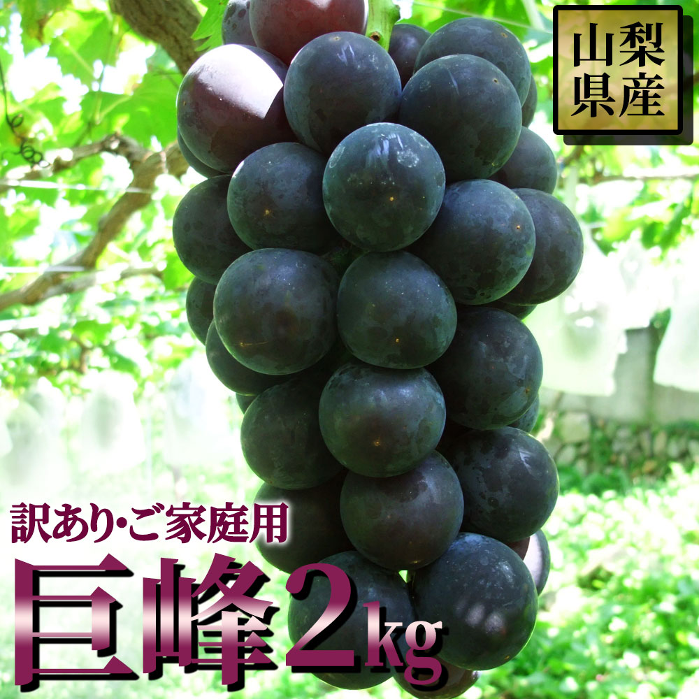 ぶどう 巨峰 訳あり 種なし 山梨県産 葡萄 ご家庭用 きょほう ブドウ 2kg 産地直送