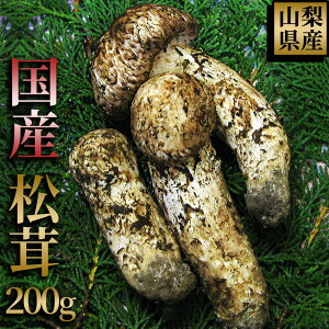 秋の味覚｜通販で買える、国産で安全・美味しい松茸グルメのおすすめは？