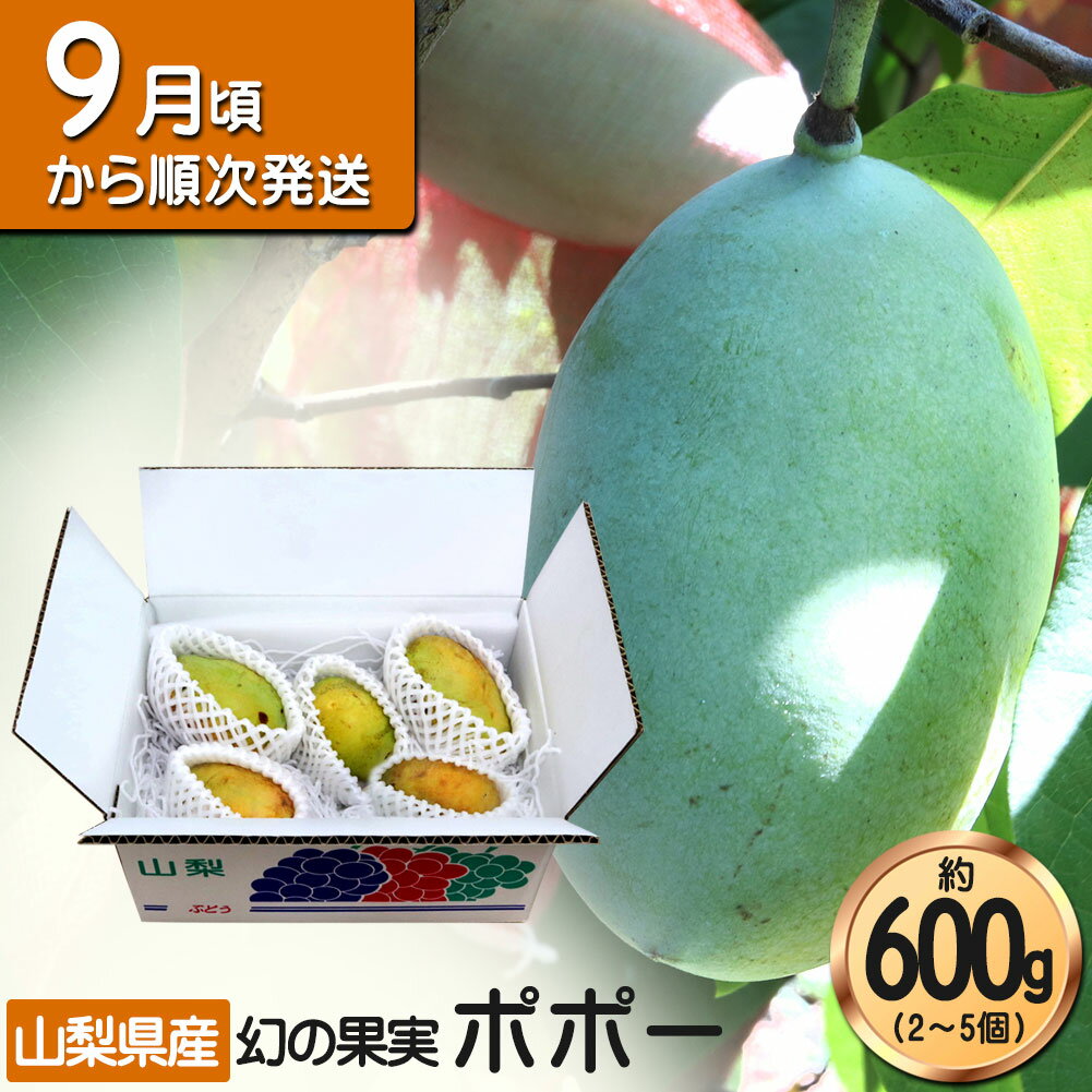 ポポー フルーツ 果物 レアフルーツ 珍果 アケビガキ 山梨県産 ポーポー ポポ 600g 産地直送 幻の果実のサムネイル