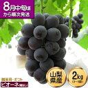【予約販売】ピオーネ 山梨県産 大粒 ぶどう 葡萄 贈答用 ギフト 産地直送 新鮮 ブドウ 2kg