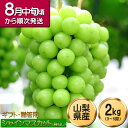 【予約販売】シャインマスカット 贈答用 山梨県産 大粒 マスカット ブドウ 葡萄 ぶどう 2kg 3房~5房