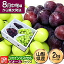 シャインマスカット ピオーネ 訳あり 2kg ぶどう 山梨県産 ご家庭用 産地直送 ブドウ 葡萄 わけあり ワケアリ 新鮮 果物 フルーツ