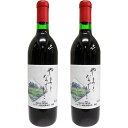 山梨ワイン 山ぶどう 赤ワイン やまとなでしこ 2本セット 720ml ギフト 贈答 なでしこ農園