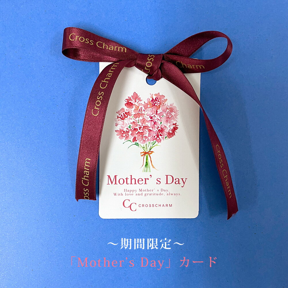 ラッピング ラッピング プレゼント ギフト リ...の紹介画像2