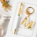 ハーバリウムボールペン イニシャル キーリング ギフト お得なセット ミモザ フラワー お花 母の日 誕生日 プレゼント メール便 女性 おしゃれ かわいい 退...