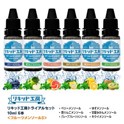 送料無料 リキッド工房 電子たばこ リキッド 10ml お試し6本セット フルーツメンソール3（ベリー/青りんご/グレープフルーツ/ゆず/甘夏みかん/キウイ） 天然素材 10ml 混ぜて使える VAPE 対応