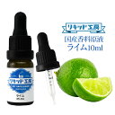 電子タバコ VAPE リキッド 香料 原液 ライム フレーバー 大容量 DIY 自作 最高品質の天然素材 10ml 加える 混ぜる 味…