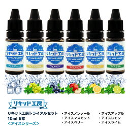 送料無料 電子タバコ リキッド 人気フレーバー お試しセット アイスシリーズ 10ml 6本（アイスメンソール/アイスマスカット/アイスベリー/アイスアップル/アイスレモン/アイスライム ） 天然素材 強い刺激 10ml 混ぜて使える VAPE 対応