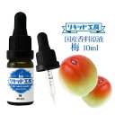 電子タバコ VAPE リキッド 香料 原液 梅 フレーバー 大容量 DIY 自作 最高品質の天然素材 10ml 加える 混ぜる 味 添加 濃度 調整