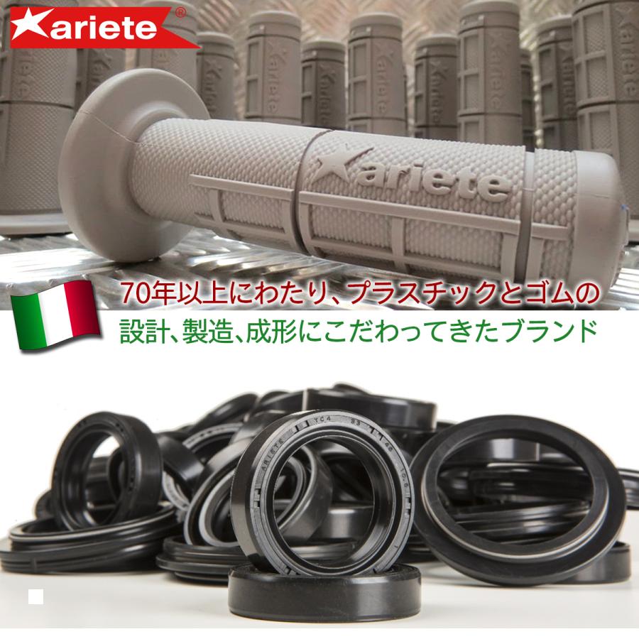 ariete (アリート) 8K デザート ゴーグル フレームブラック/レンズスモークミラー/ストラップブルー ブラック/ミラースモーク/ブルー 14960-T072