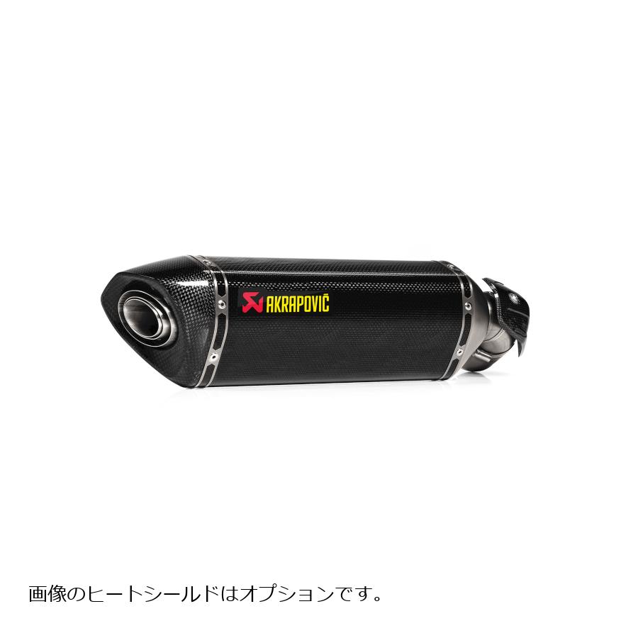 AKRAPOVIC (アクラポビッチ) スリップオンライン カーボン EC/ECE NINJA 1000SX S-K10SO32-HRC
