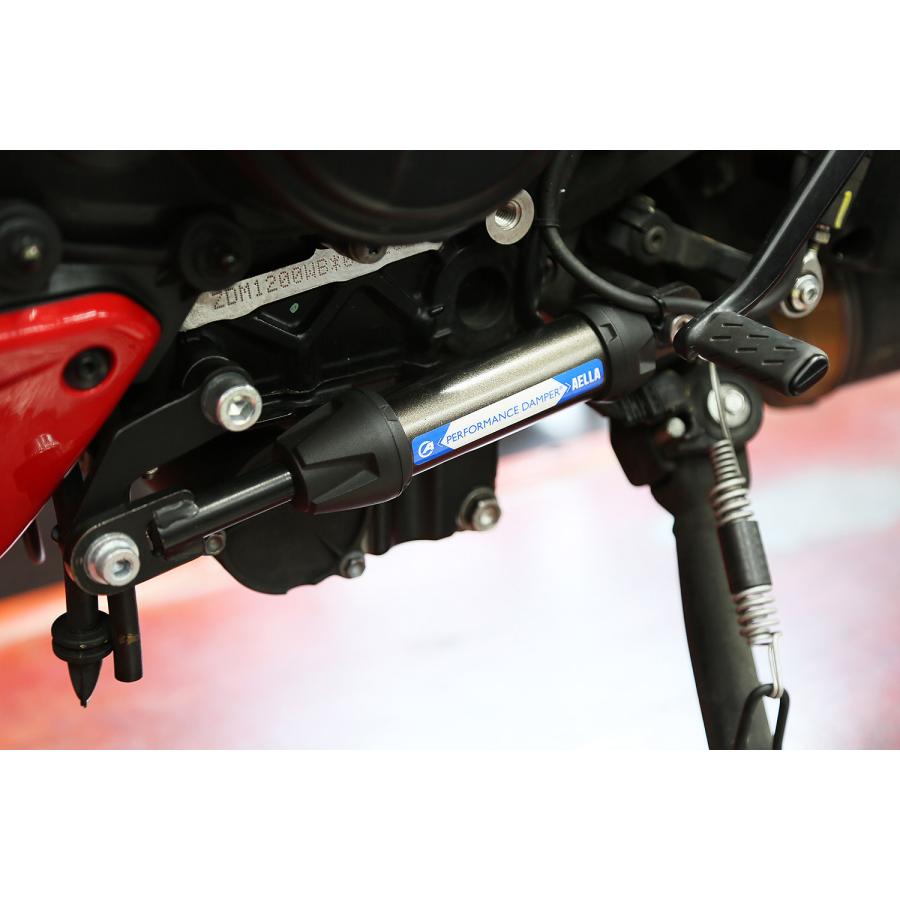 AELLA (アエラ) パフォーマンスダンパー DUCATI DIAVEL V4 AA-ACT003
