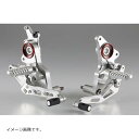 AELLA (アエラ) ステップ ホワイト HYPERMOTARD950 AE-10094 WT(2)