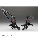 AELLA (アエラ) ライディングステップキット ホワイト DUCATI Monster+ 21- AE-10100-WT