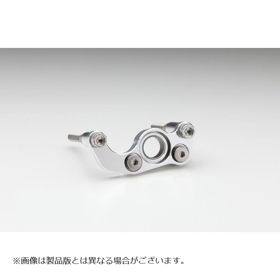 AELLA(アエラ) シフトホルダー ポリッシュ NINJA1000 11-16 AE-74031 PO