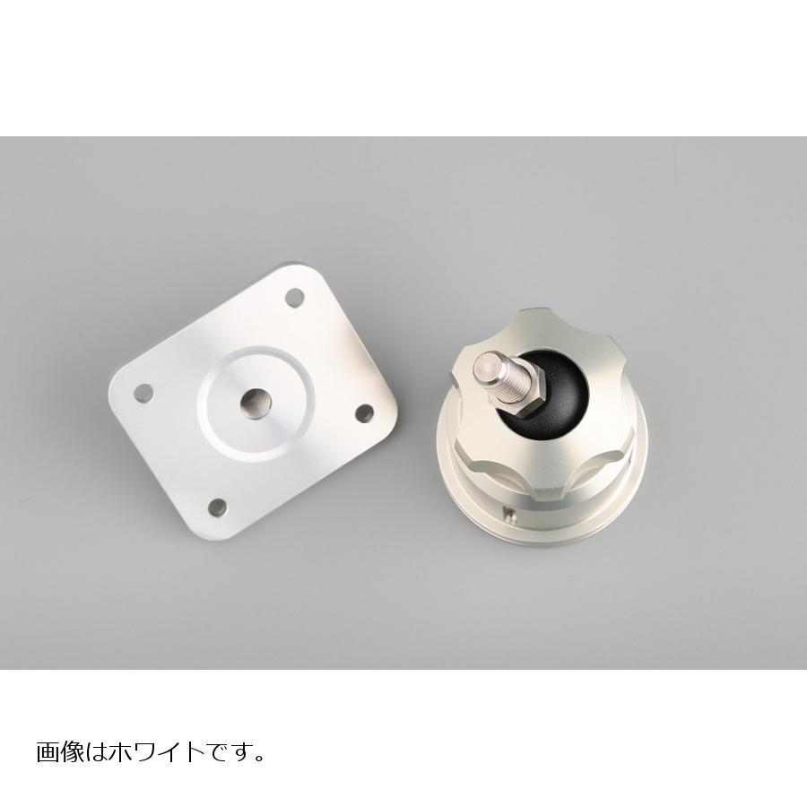 AELLA(������) �ʥӥ��ơ� �֥�å� MV�������� F4 AE-77009-BK