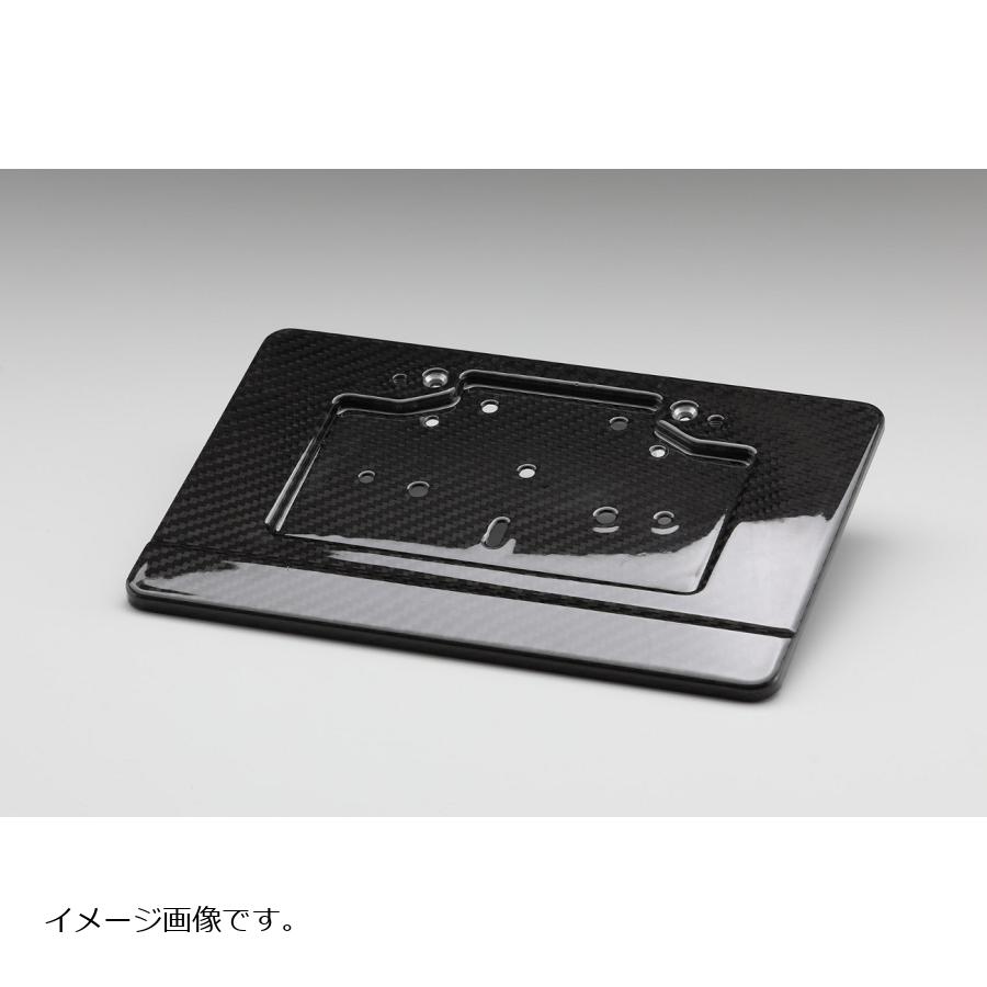 AELLA (アエラ) ドライカーボンナンバープレートホルダー 艶消し AE-99005-02
