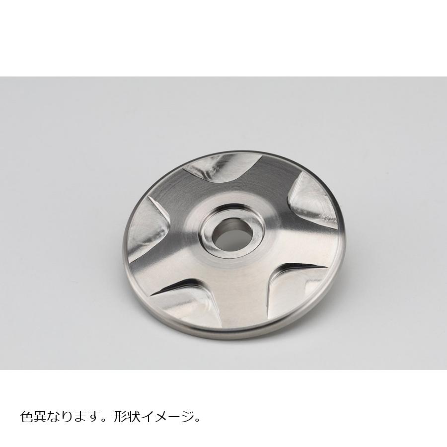 AELLA(アエラ) チタンマフラーステーキャップ パープル ボルト40mm S1000RR RnineTシリーズ AT-10002B SC