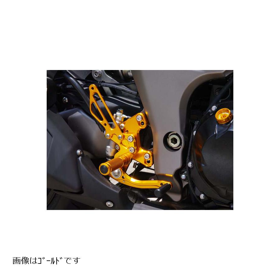 BABY FACE (ベビーフェイス) ステップキット Ninja1000 ニンジャ1000 Z1000 逆シフト ブラック 002-K021BKR