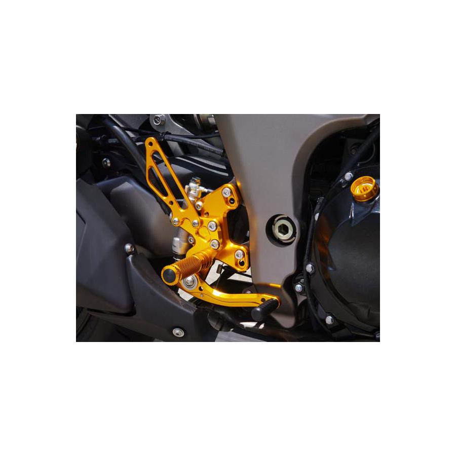 BABY FACE (ベビーフェイス) リバースシフト Ninja1000 ニンジャ1000 Z1000 アルミ ゴールド 002-K021GDR