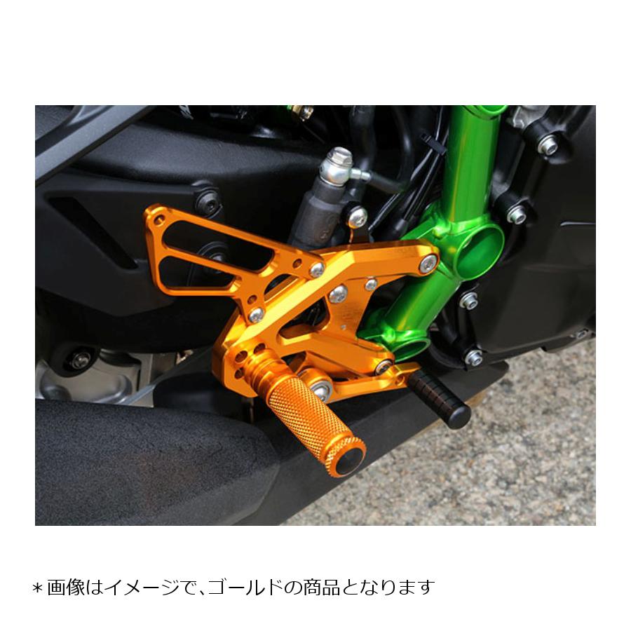 BABY FACE (ベビーフェイス) バックステップ ニンジャ NinjaH2 5ポジション 正チェンジのみ ブラック 002-K026BK 2