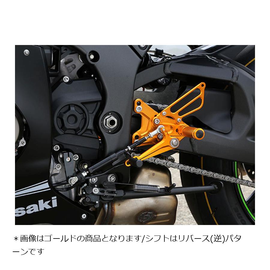 BABYFACE (ベビーフェイス) バックステップ リバース シルバー ZX10R 002-K028SVR