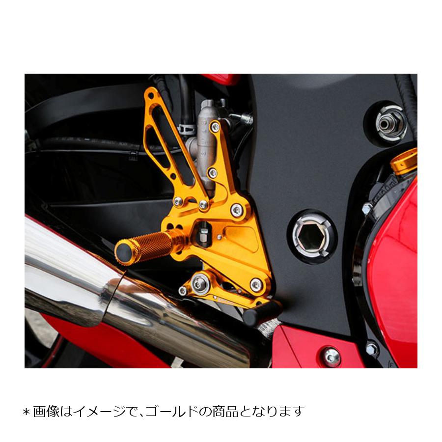 BABYFACE (ベビーフェイス) バックステップ 5ポジション 正チェンジのみ ブラック GSX1300R HAYABUSA[ハヤブサ] 002-S018BK