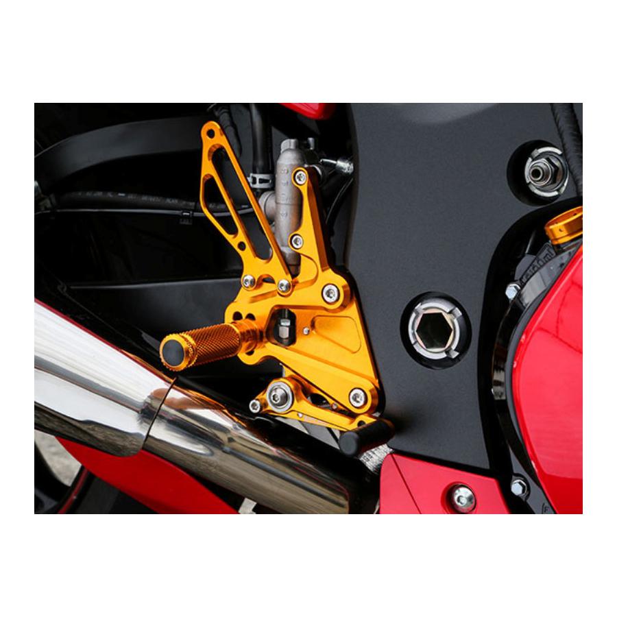 BABY FACE (ベビーフェイス) バックステップ 5ポジション 正チェンジのみ ゴールド GSX1300R HAYABUSA[ハヤブサ] 002-S018GD