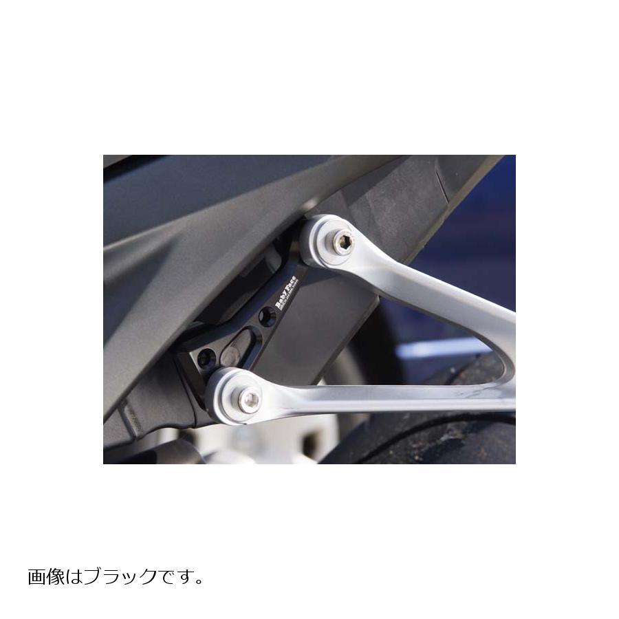 BABY FACE (�٥ӡ��ե�����) �졼���󥰥եå� ���ȥ꡼�� CBR1000RR ABS ������� 005-FH006GD