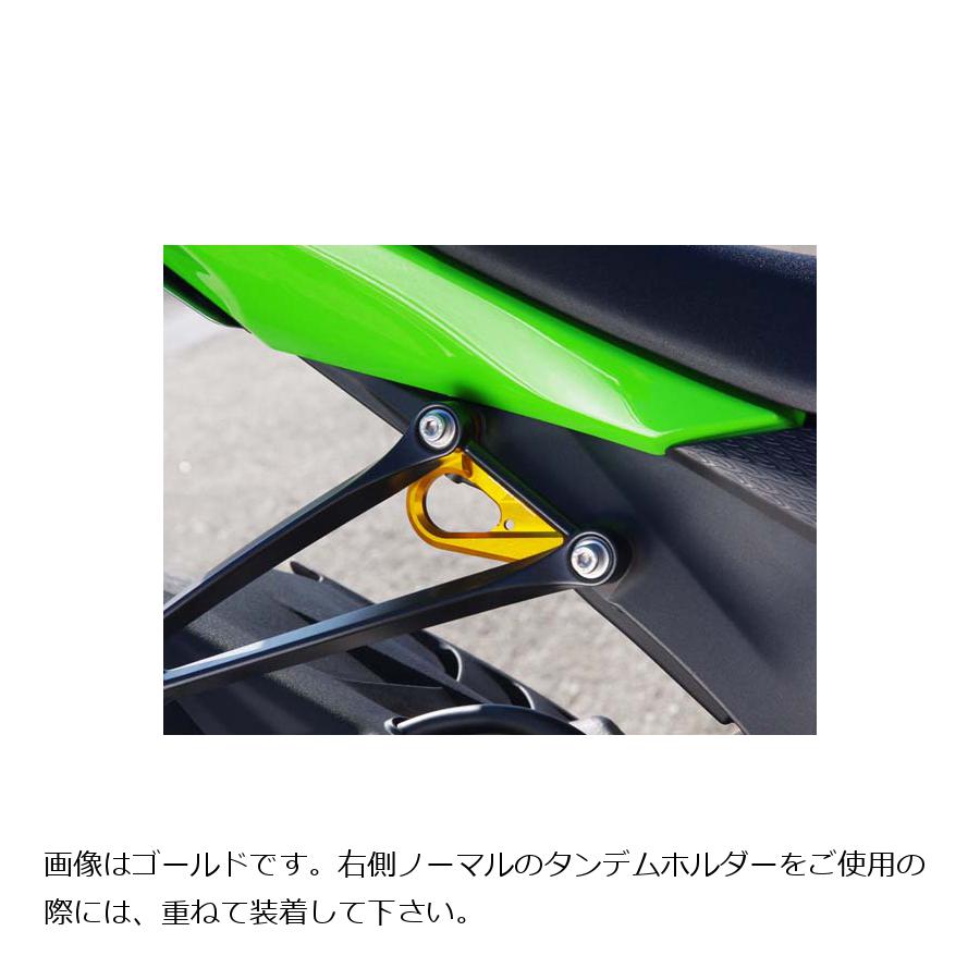 BABY FACE (ベビーフェイス) レーシングフック ZX-6R RR ブラック 005-FK003BK