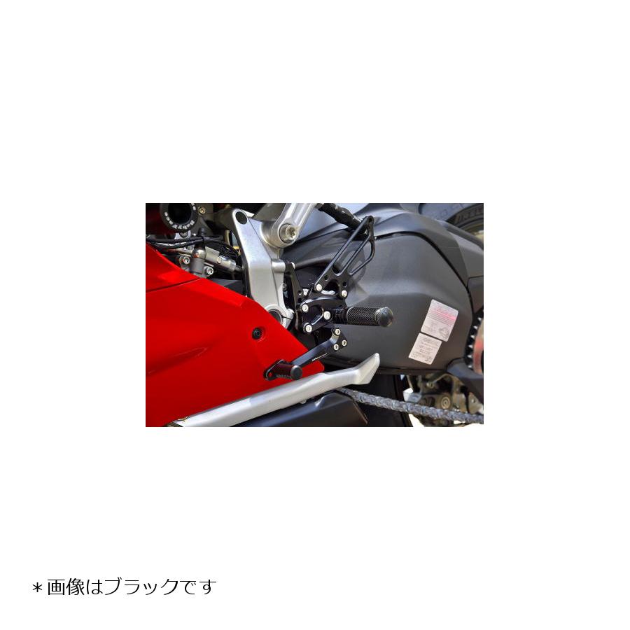 BABY FACE (ベビーフェイス) バックステップキット パニガーレ Panigale V2 シルバー 002-D028SV