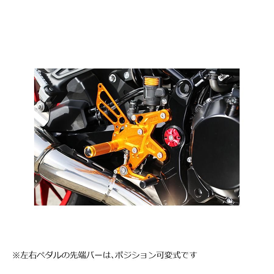 楽天バイク・車パーツ プロトBABY FACE （ベビーフェイス） バックステップキット Z900RS 4ポジション ゴールド 002-K033GD