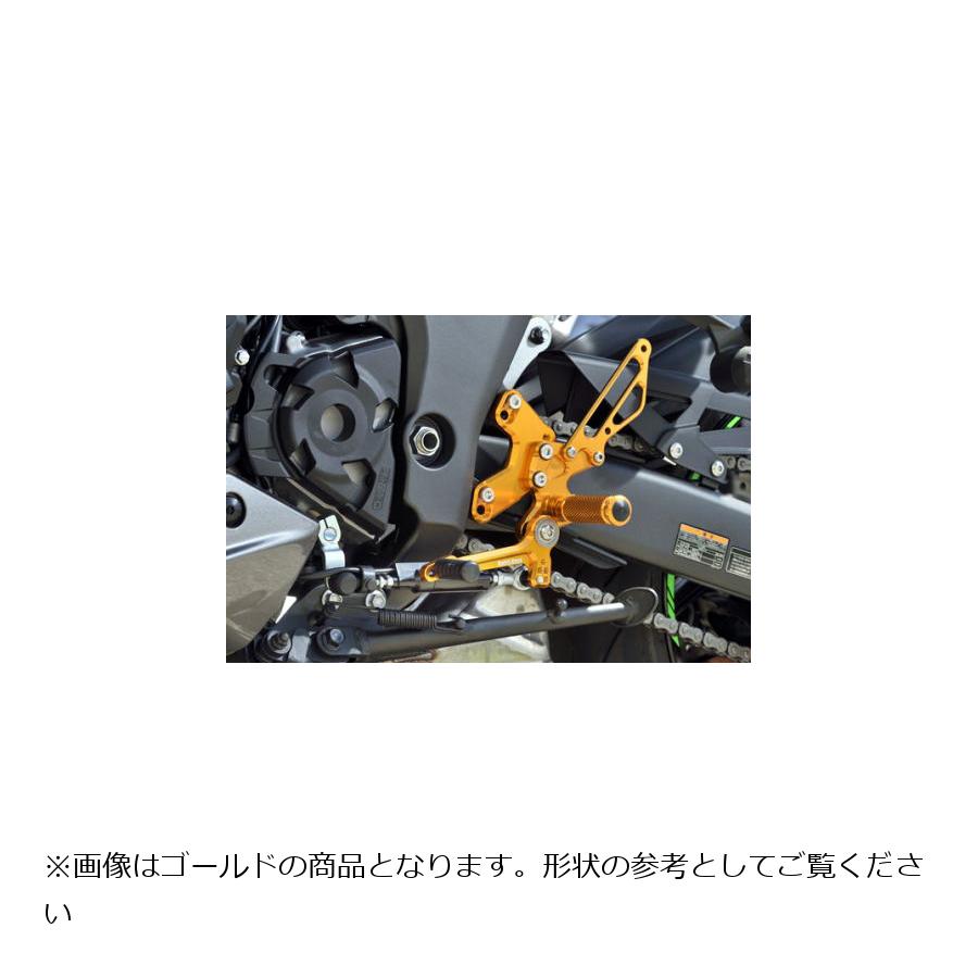 BABY FACE (ベビーフェイス) バックステップキット Ninja1000SX ニンジャ1000SX ブラック 002-K041BK