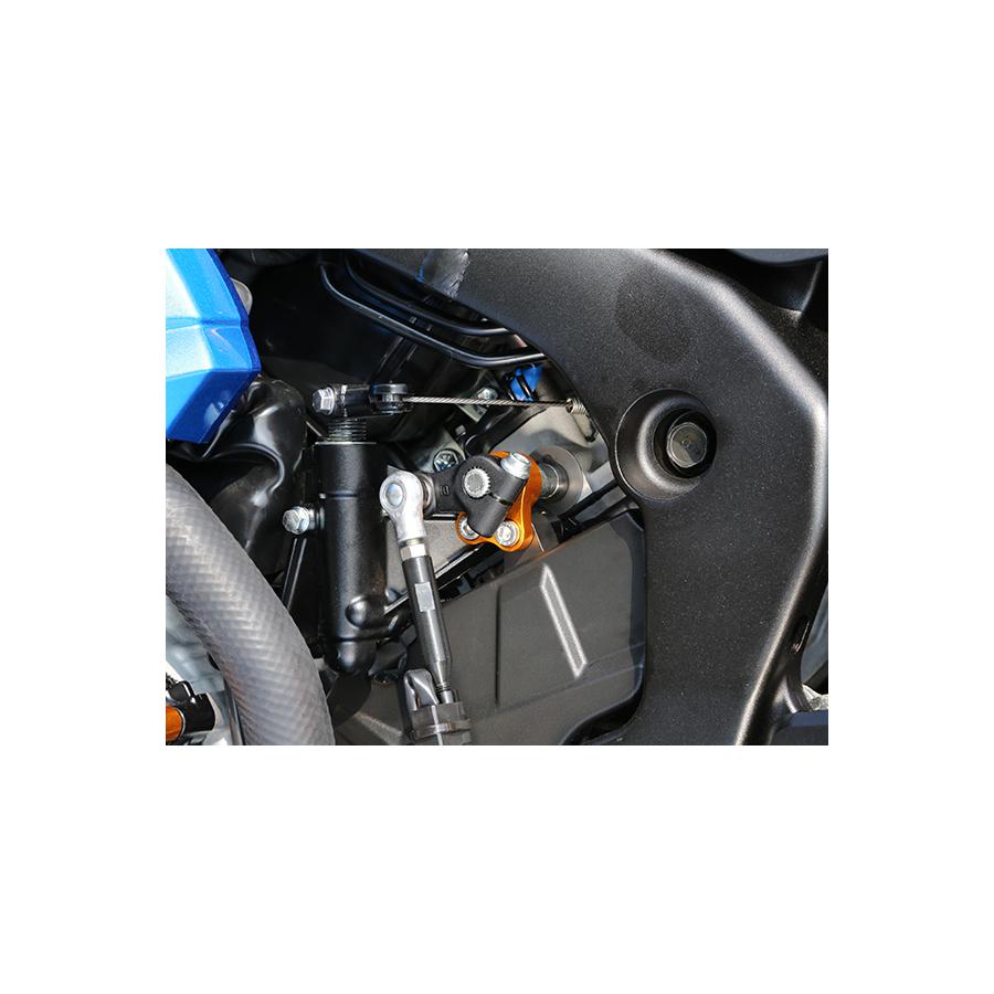 BABYFACE(ベビーフェイス) シフトスピンドルホルダー GSXR1000 ゴールド 0201-002-S020S