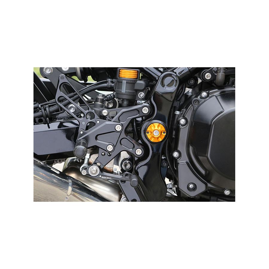 BABY FACE (ベビーフェイス) フレームキャップ Z900RS アルミ ゴールド 005-K0013GD