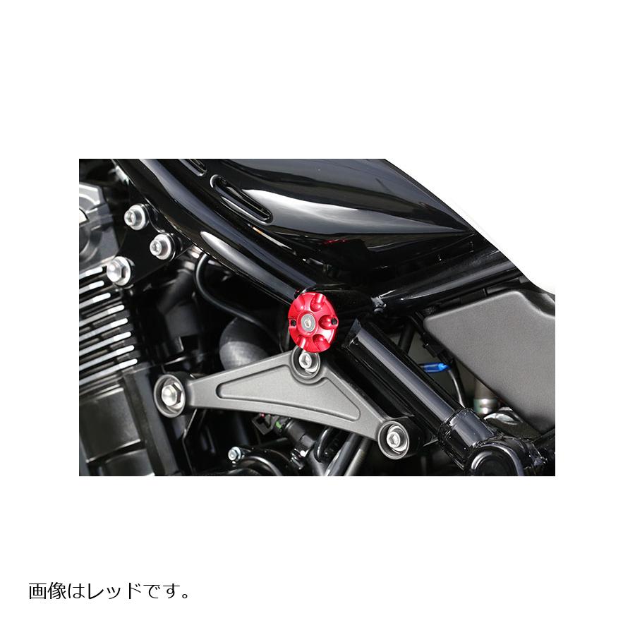 BABY FACE (ベビーフェイス) フレームキャップ Z900RS アルミ ゴールド 005-K0013GD