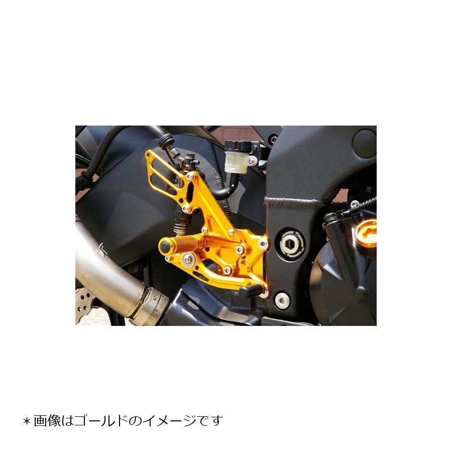 BABY FACE (ベビーフェイス) バックステップ ZX-10R 11ポジション 正/逆チェンジ可能 アルミ ブラック 002-K014BK