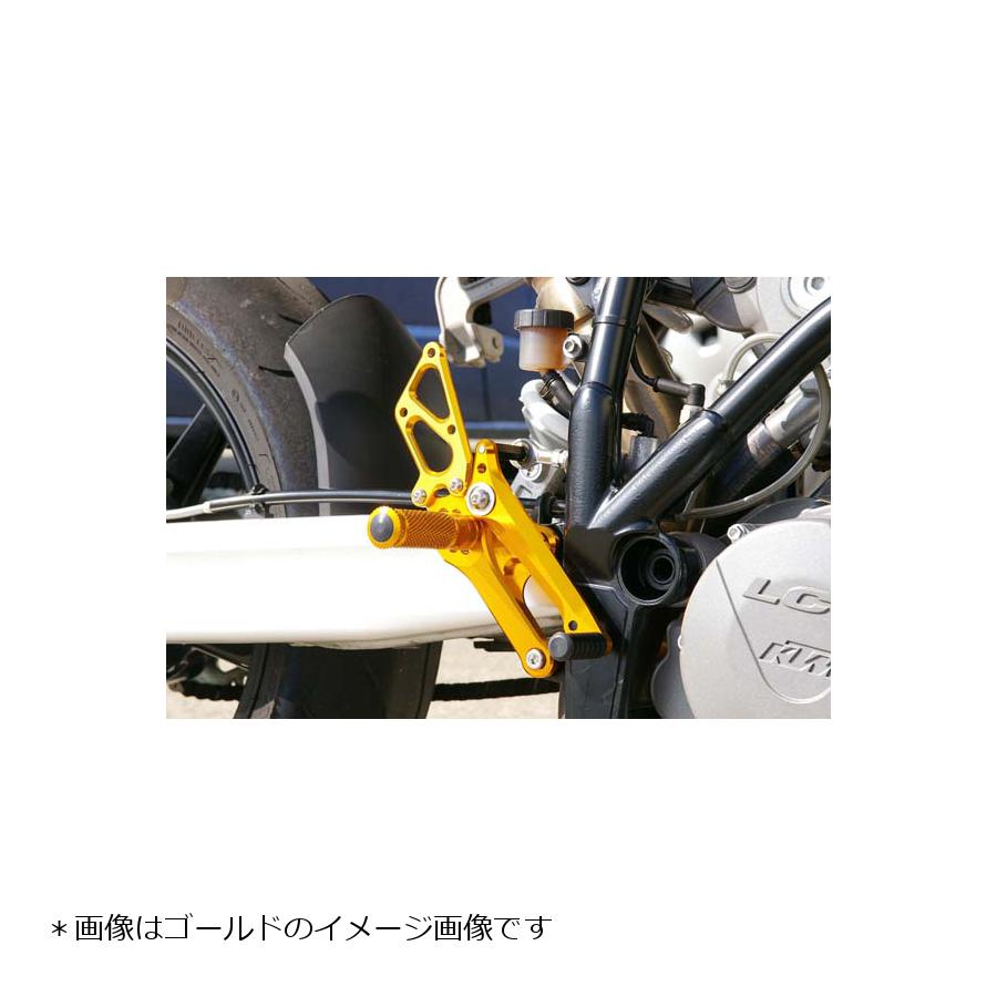 BABY FACE (ベビーフェイス) バックステップ 990SUPERDUKE R スーパーデュークR 7ポジション 正チェンジのみ アルミ シルバー 002-KT001SV