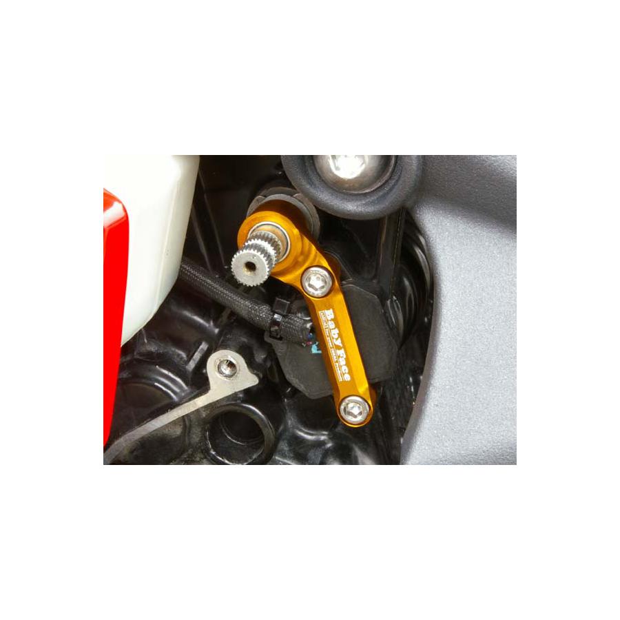 BABY FACE (ベビーフェイス) シフトスピンドルホルダー DAYTONA675 デイトナ 002-T002S