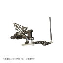 BABY FACE (ベビーフェイス) バックステップ YZF-R6 8ポジション 正/逆チェンジ可能 アルミ ゴールド 002-Y010GD