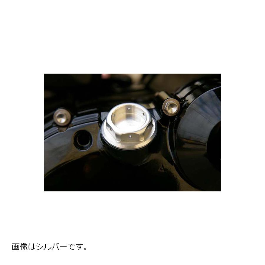 BABY FACE (ベビーフェイス) オイルフィラーキャップ KAWASAKI M30XP1.5 ヘックス/ブラック 005-EK005BK