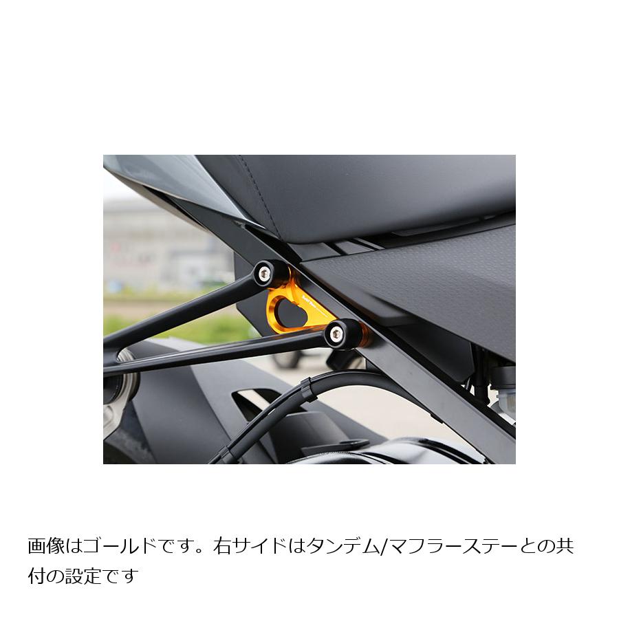 BABY FACE (�٥ӡ��ե�����) �졼���󥰥եå� S1000RR ����С� 005-FBM01SV