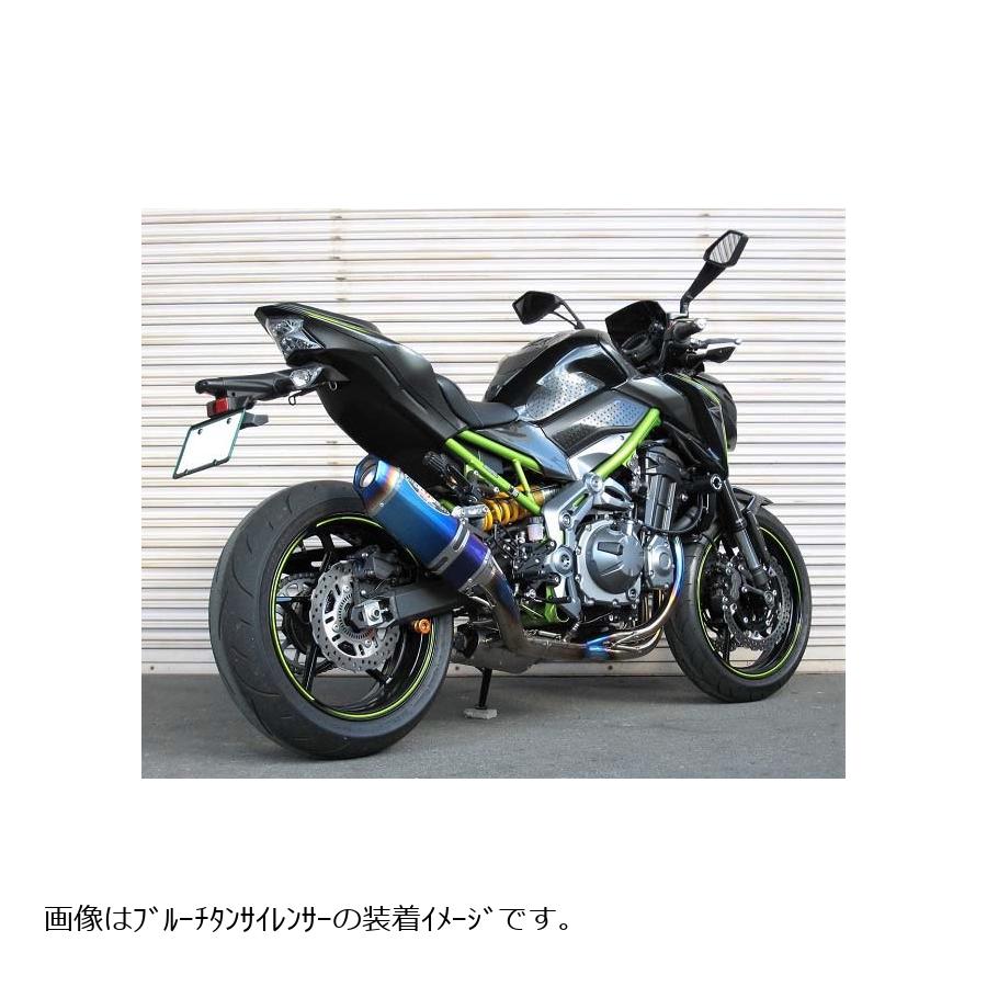 BEET (�ӡ���) �ʥ�����-Evo TYPE2 3D ���ꥢ������ Z900 0225-KG6-50