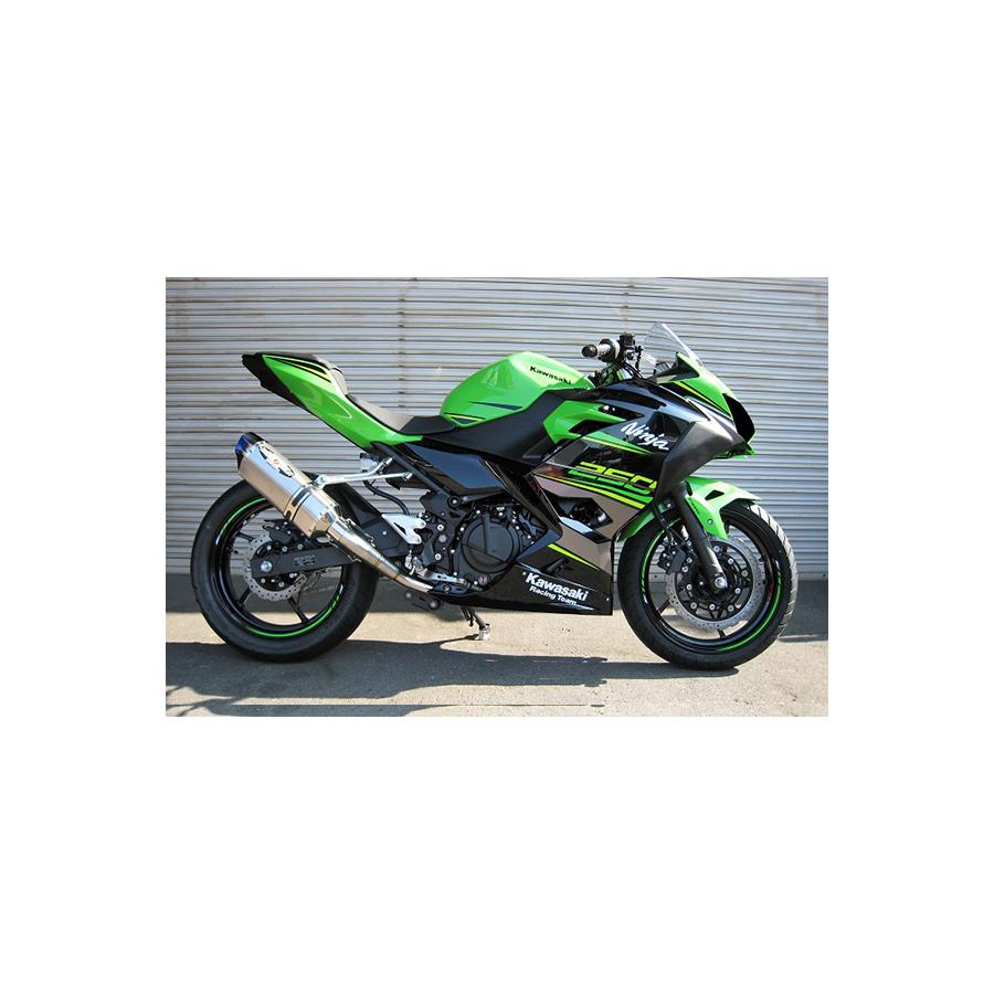 Other - BEET (ビート) ナサートR-Evo TYPE2 クリアチタン NINJA250 JP250用レーシングマフラー 1003-B27-50