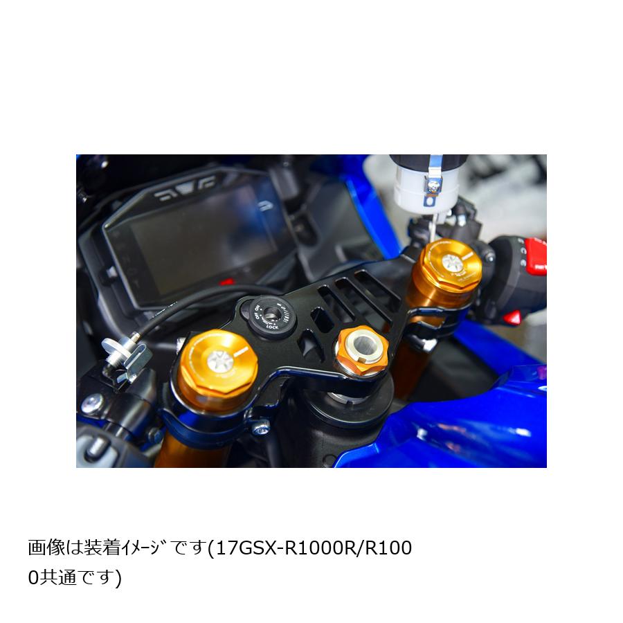 WOODSTOCK (���åɥ��ȥå�) �ȥåץ֥�å� �֥�å� GSX-R1000/R TBG-S14-BK